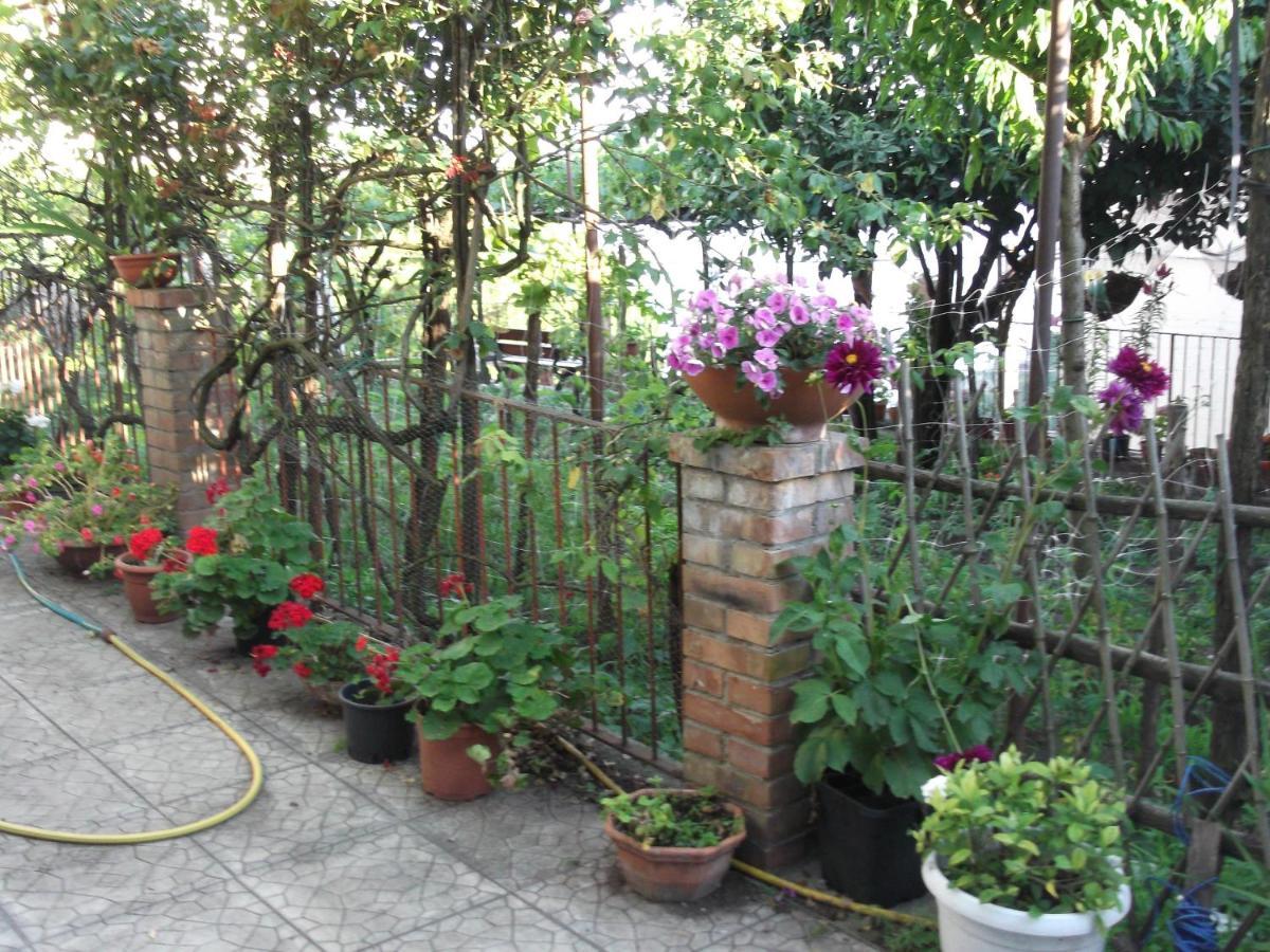 Villa Le Mimose Vietri Exterior foto
