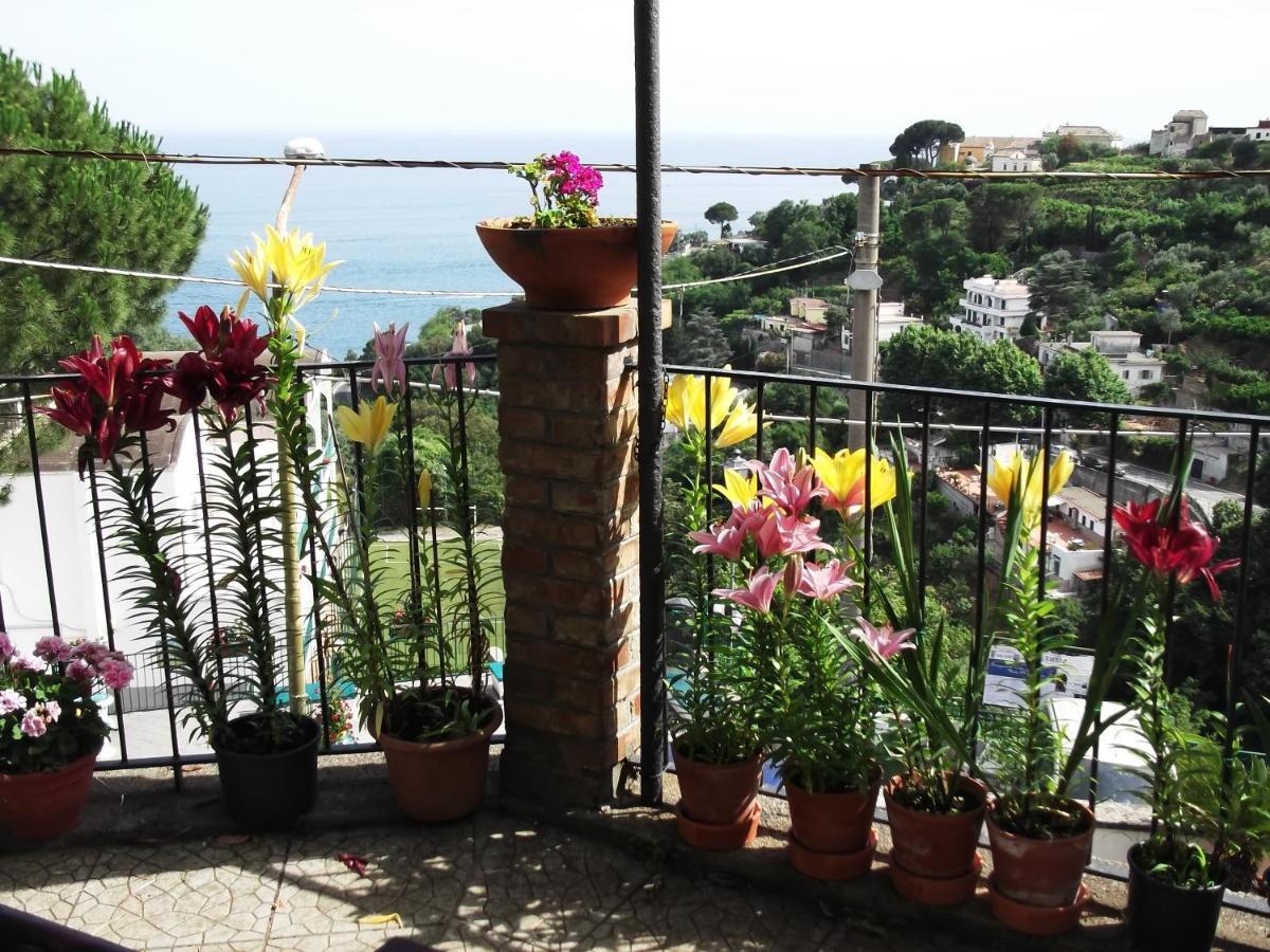 Villa Le Mimose Vietri Exterior foto