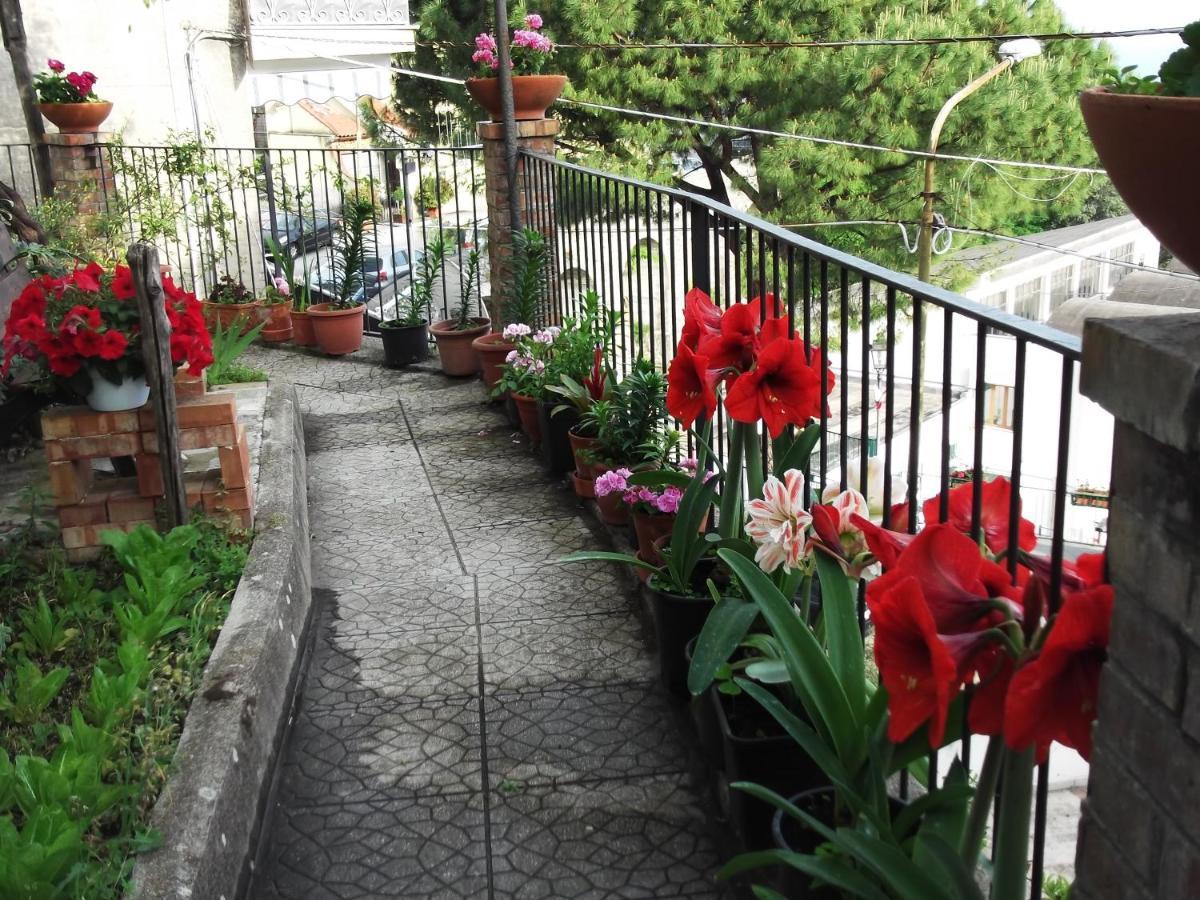 Villa Le Mimose Vietri Exterior foto