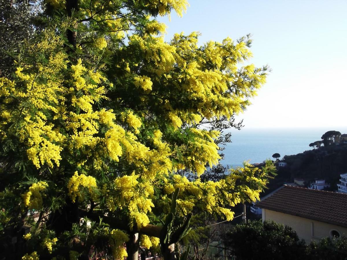 Villa Le Mimose Vietri Exterior foto